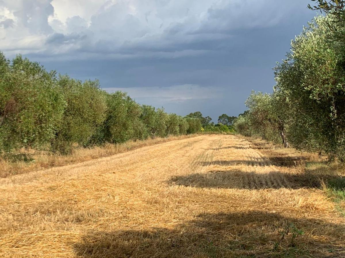 Agriturismo Beveraggio Appartamenti Marina di Grosseto Exteriér fotografie